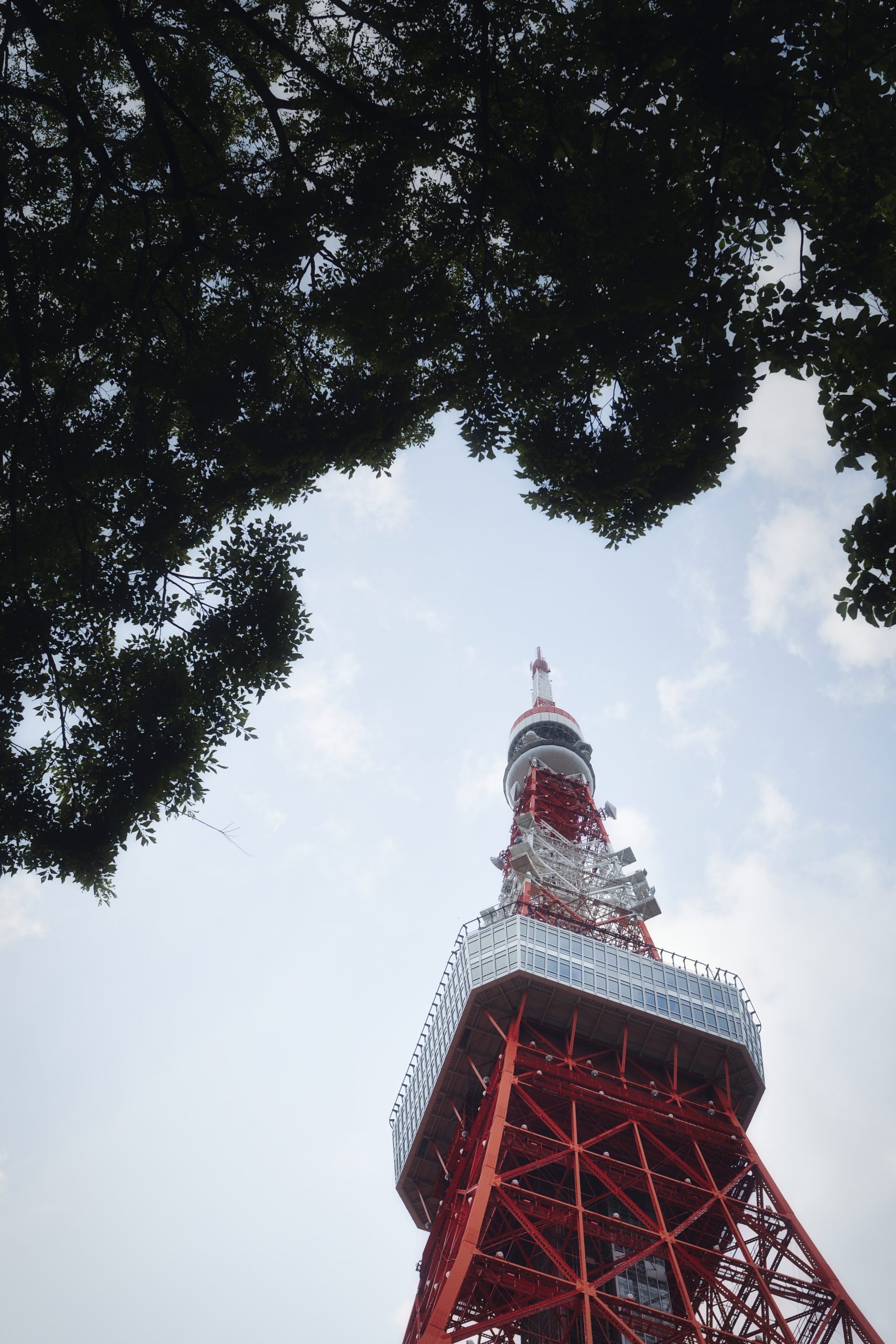 木と東京タワーは無料素材