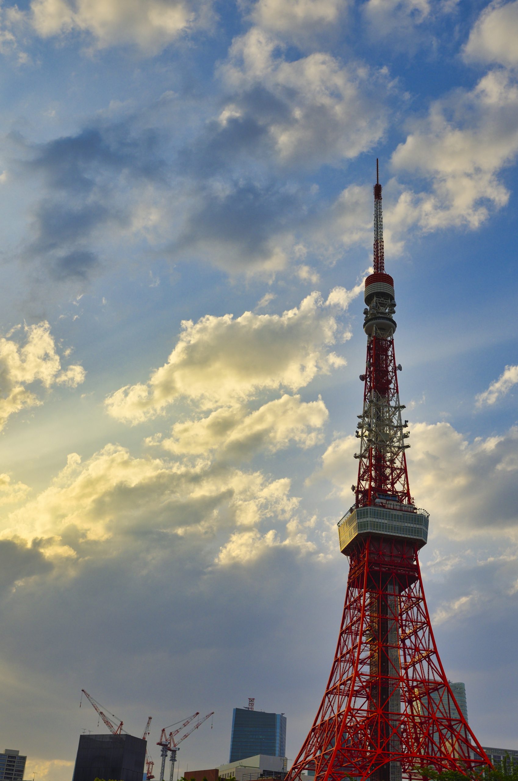 夕方の東京タワー　無料素材